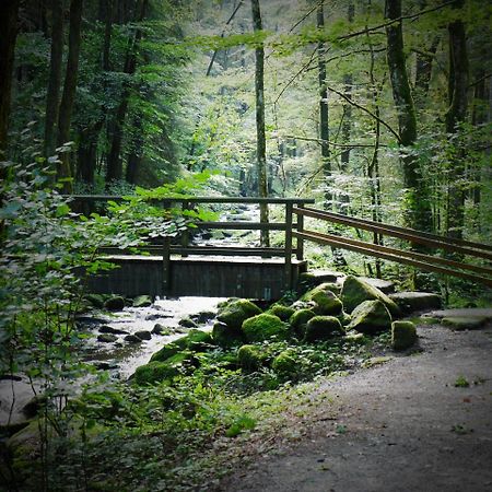 Fewo Kedo Neukirchen vorm Wald ภายนอก รูปภาพ