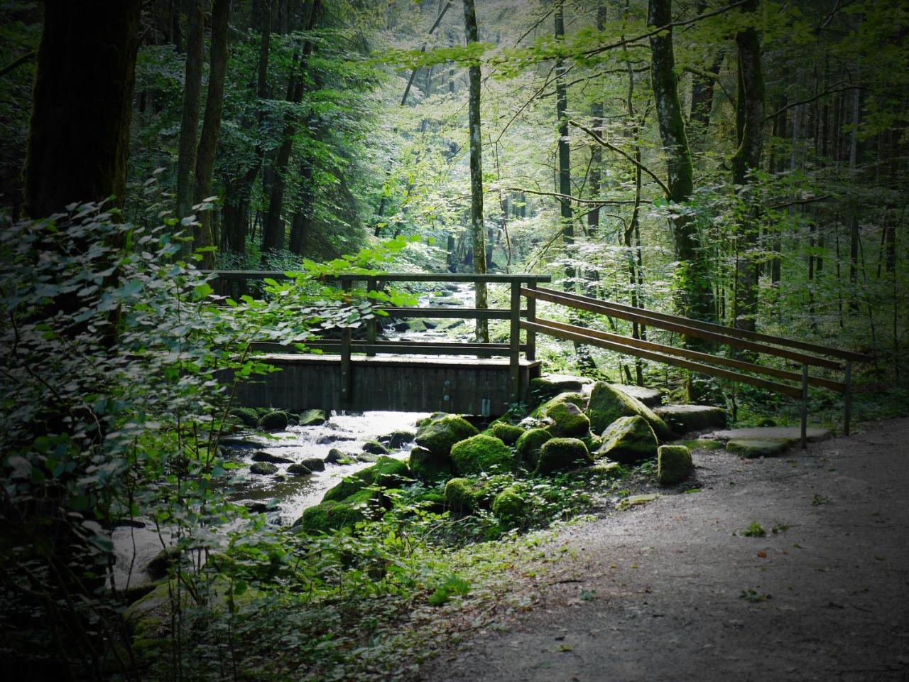 Fewo Kedo Neukirchen vorm Wald ภายนอก รูปภาพ