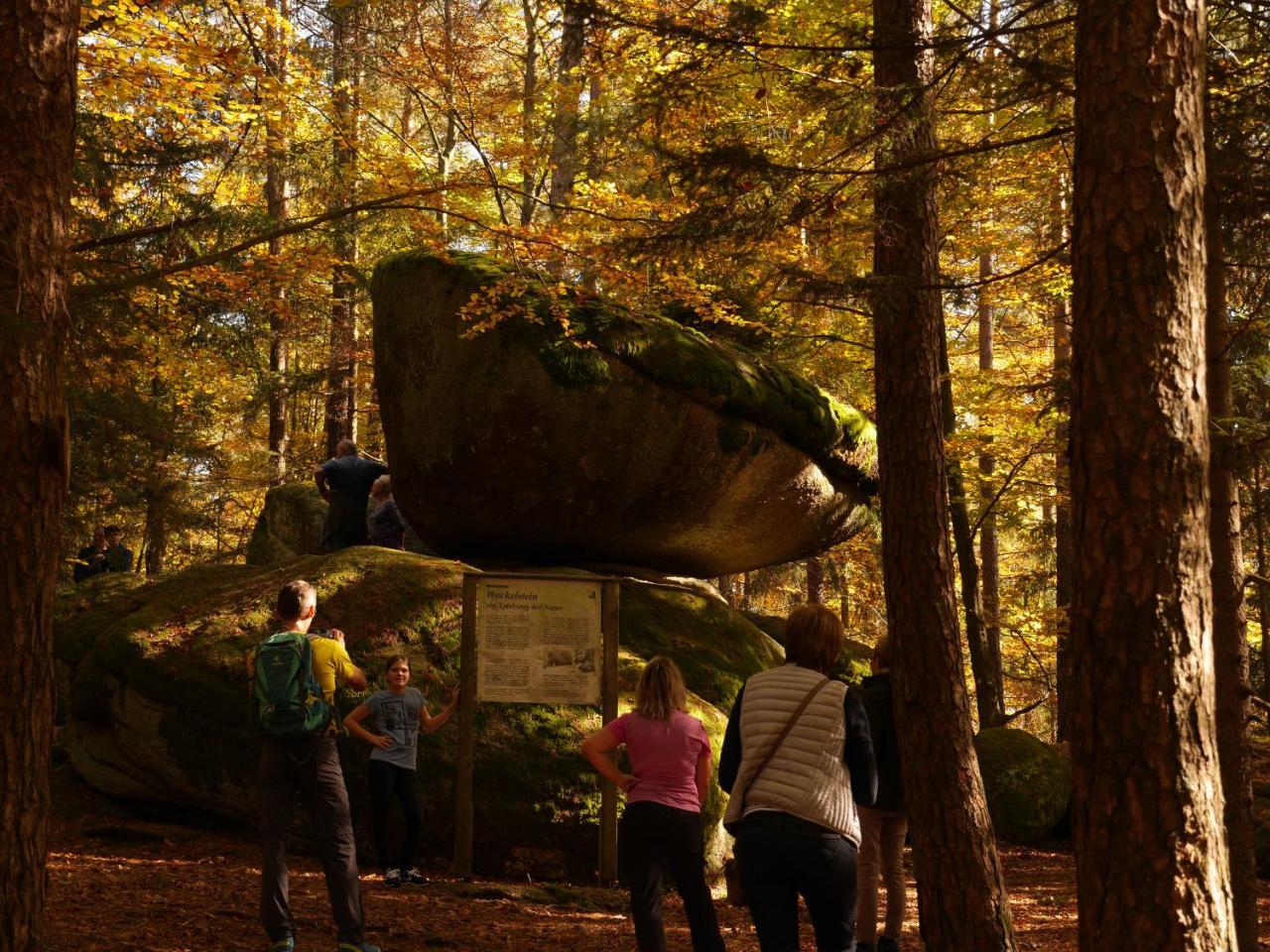 Fewo Kedo Neukirchen vorm Wald ภายนอก รูปภาพ