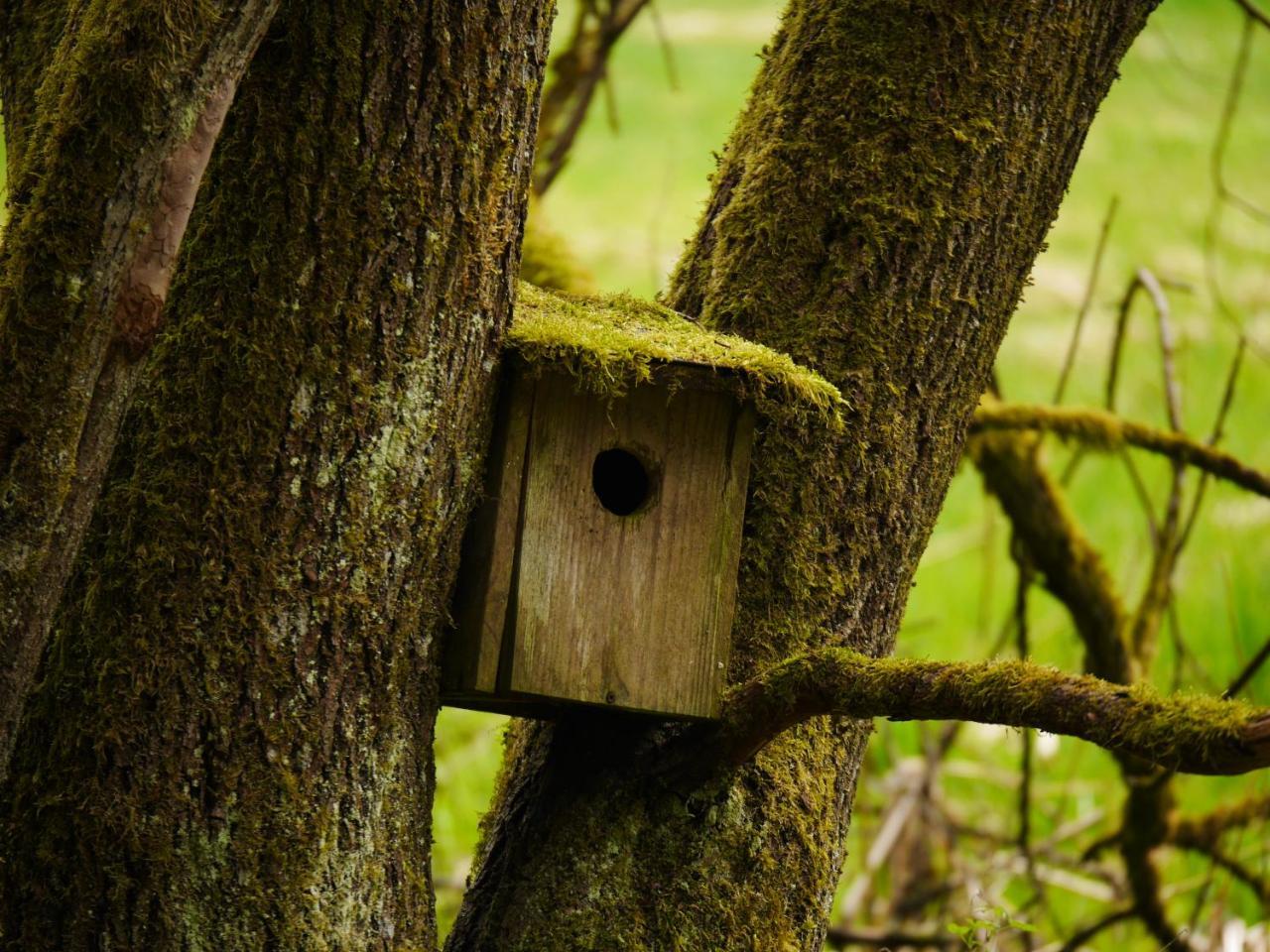 Fewo Kedo Neukirchen vorm Wald ภายนอก รูปภาพ