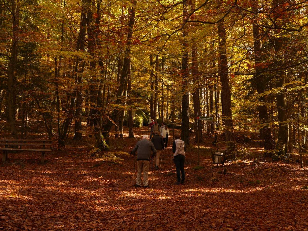 Fewo Kedo Neukirchen vorm Wald ภายนอก รูปภาพ