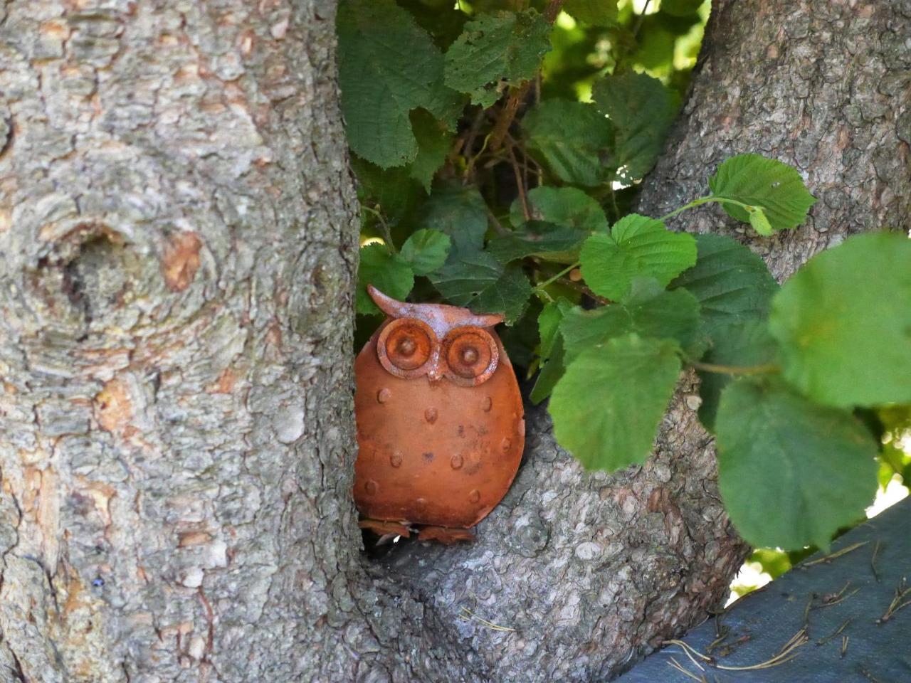 Fewo Kedo Neukirchen vorm Wald ภายนอก รูปภาพ